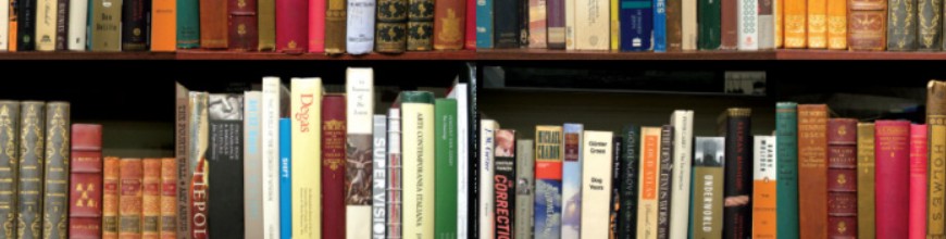 Bookshelf in Schleicher County Library